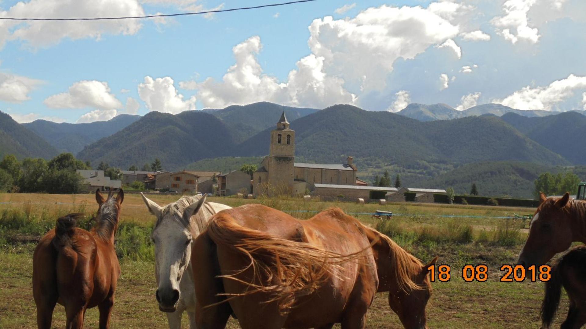 Can Vall Bellver Bellver De Cerdanya Zewnętrze zdjęcie